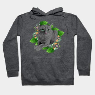 Carribean Polydactyl Kitty Hoodie